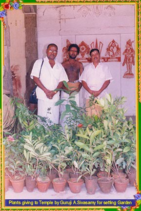 Can Nadi Jothidam Predict Health Issues?
